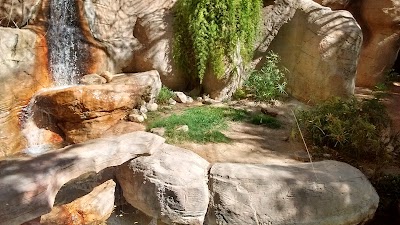 Photos of Reid Park Zoo