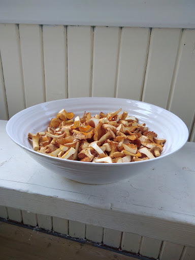 ceramic Square - Visual