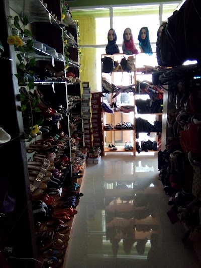 Photos of VIOLA Collection