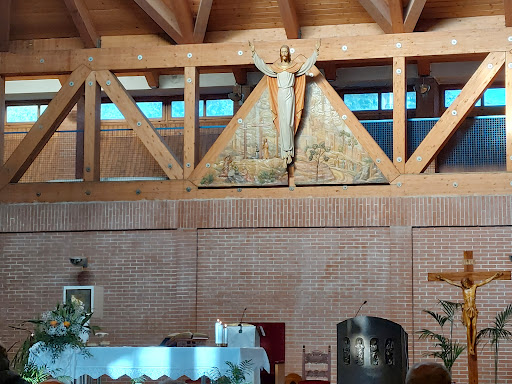 San Riccardo Pampuri church Logo