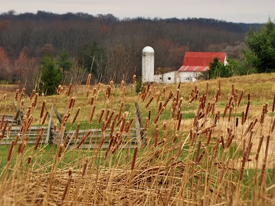 Photos of The Dawes Arboretum