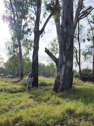 Yarrawonga River Camp - Thumbnail