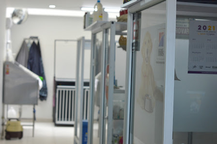 Fotografía de SANIVET Clínica Veterinaria Del propietario