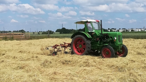 Straussenfarm Burkhardt - Thumbnail