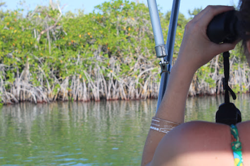 Tulum & Riviera Maya Outdoors