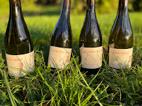 Domaine Duverne à Bray