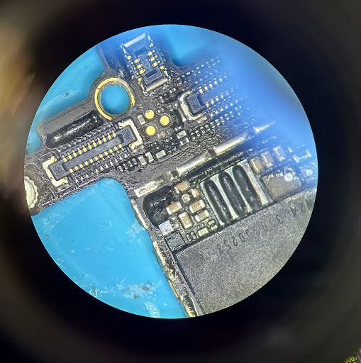CellWoRx - Thumbnail