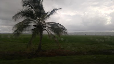 Photos of Guaraguao Park