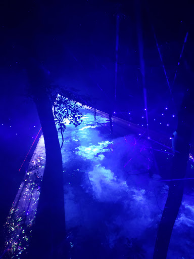 Buckyball At Crystal Bridges - Thumbnail