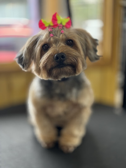Petshop Bichos em Ação