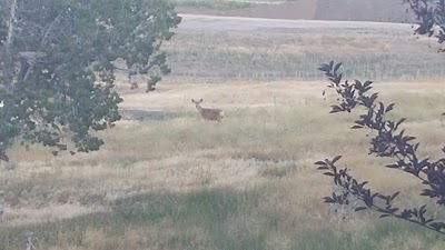 Photos of Red Ledges
