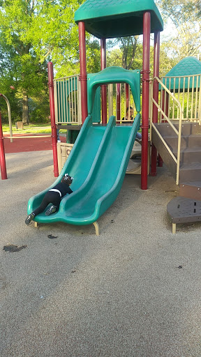 Godwin Park - Visual