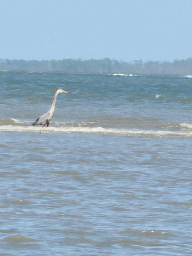 Fish Haul Beach - Thumbnail