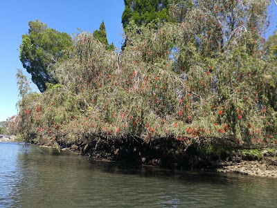 Photos of Crystal River Kayak Company and Dive Center