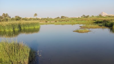 Photos of بركة دهشور - Berket Dahshour