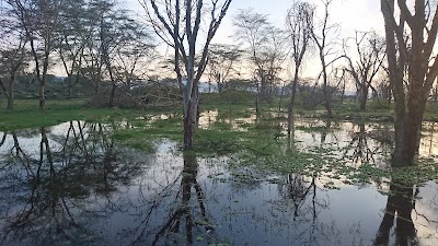 Photos of Lake Naivasha Simba Resort
