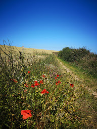 Photo n°13 de Le Mesnil à Saint-Aubin-sur-Mer (Terrain de camping)