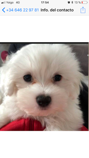 Clínica Veterinaria San Juan