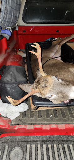 Sabattus Deer Processing - Visual