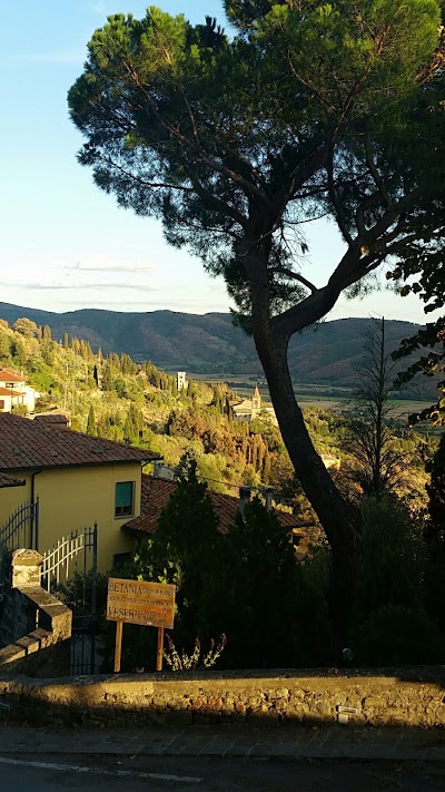 lodging