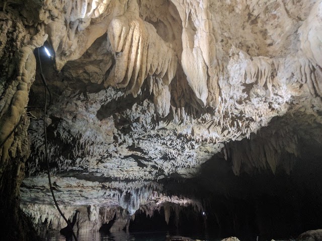 Cenotes Sac Actún