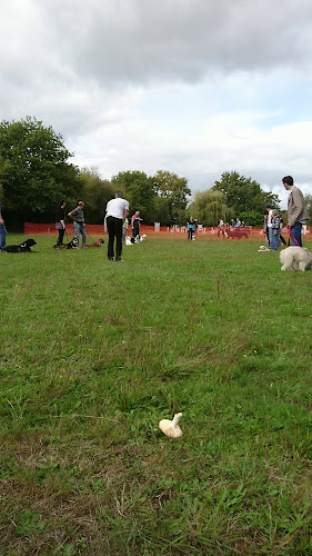 Club angevin d'éducation canine