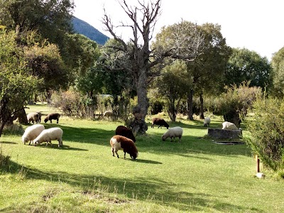 Photos of Camping Bah&iacute;a Ca&ntilde;icul