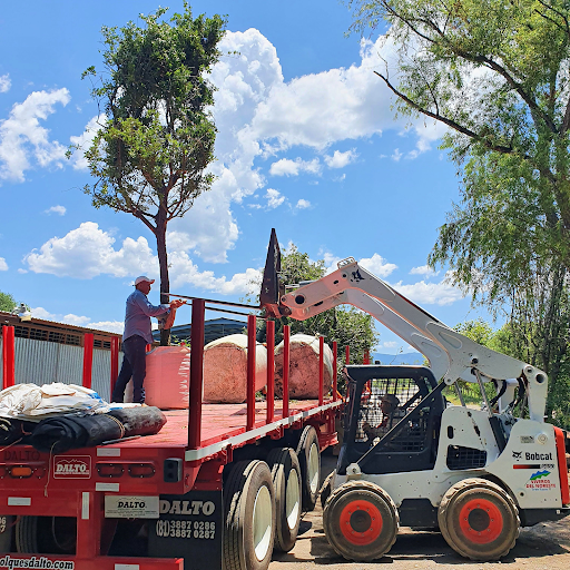 Transportes Viveros de Mexico - Thumbnail