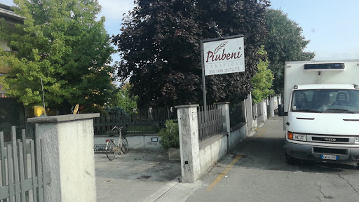 Piubeni Angelo - Visual