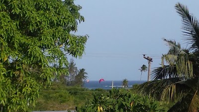 Photos of Coconut Grove 1