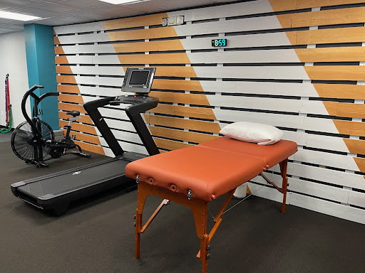 St Pete Physio - Visual