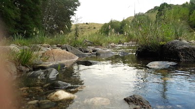 Photos of Camping PIPO