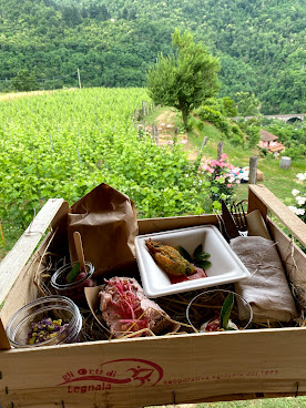 Podere Còncori by null