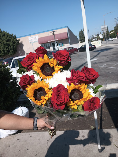 Flowers at haskell - Thumbnail