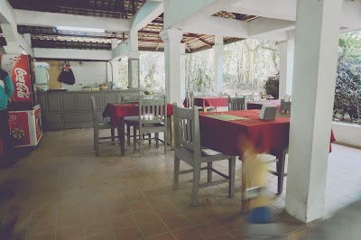 Photos of Lao Green