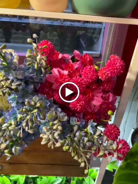 Ivy and the Wolf - Plants, Coffee & Nice Things photo 3