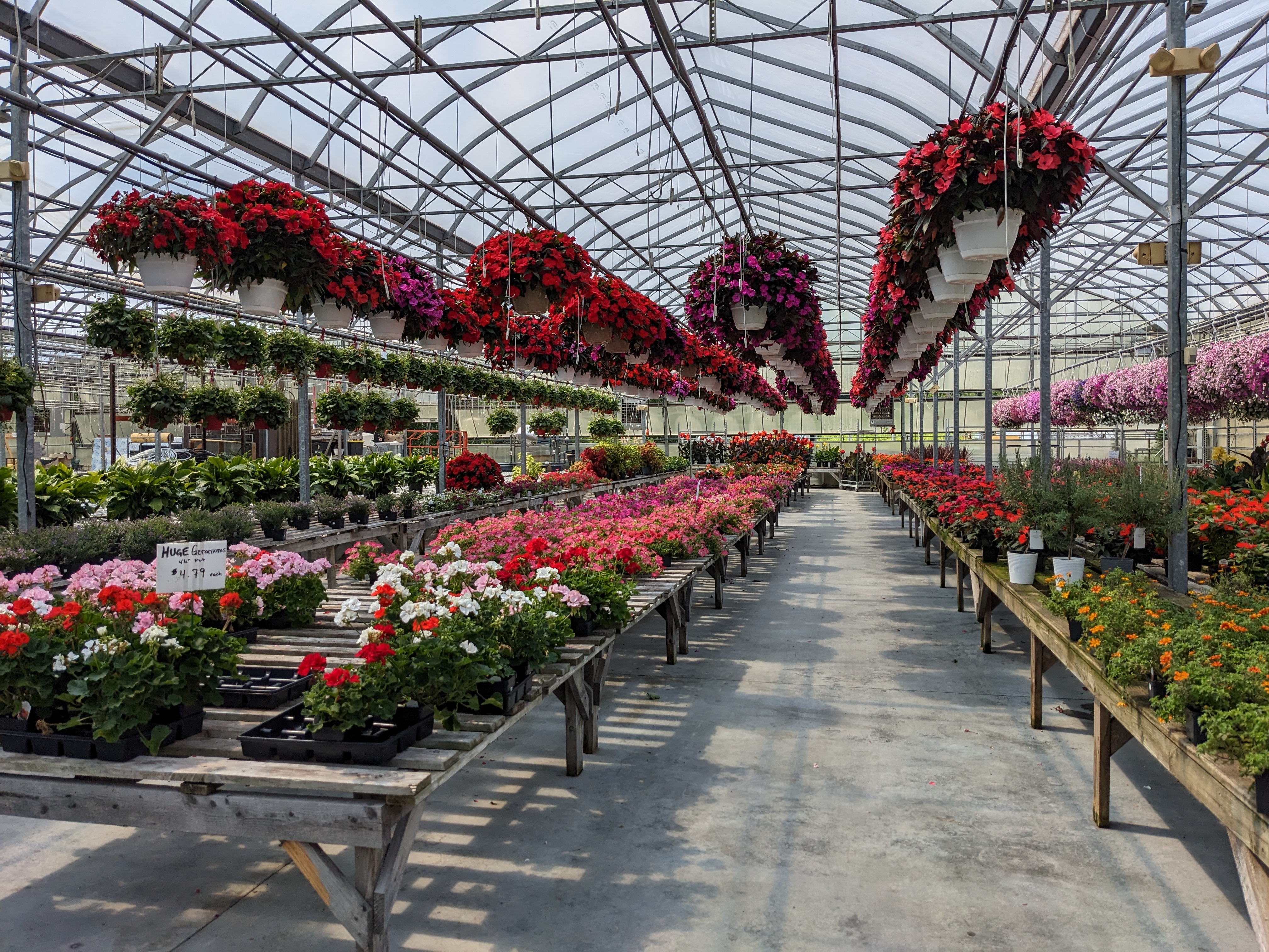 Brigiotta's Greenhouse & Garden Center