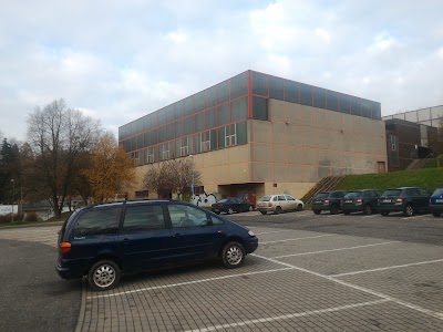 university