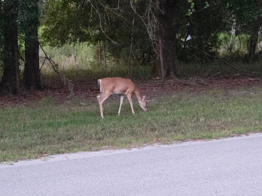 East Lake Meadows - Thumbnail