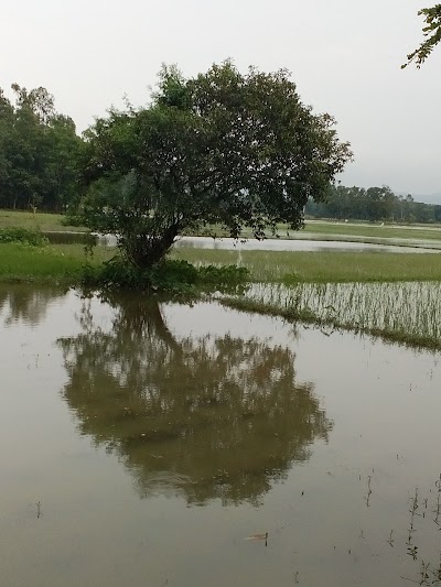 Photos of Damdoma Duddhist Temple
