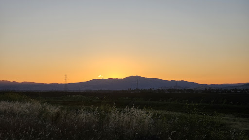 Suisun Marsh Outlook - Thumbnail
