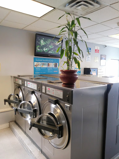 Campello Coin Op Laundromat - United States