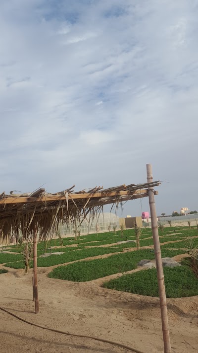 Photos of العويني
