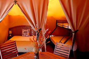 Photo n°64 de Camping Le Dauphin à Saint-Pierre-d'Oléron (Terrain de camping)