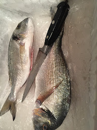 Photo n°4 de Pêche Provence Calanques à Marseille (Poissonnerie)