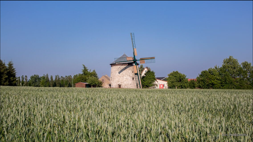 Turmwindmühle Immenrode - Visual