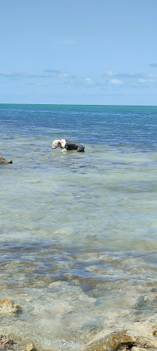 playa nel - Thumbnail