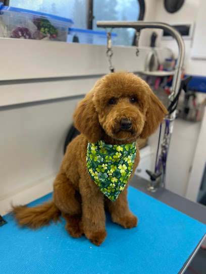 Fabulous Fur by Janet