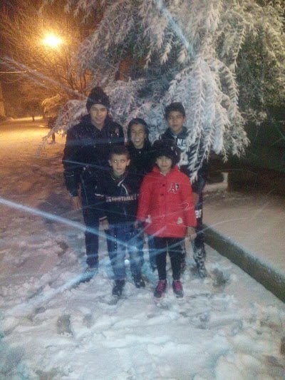 Photos of متنزه عائلي ورياضي