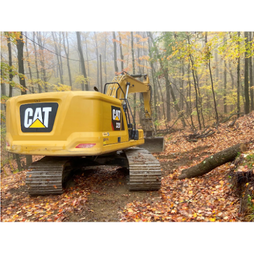 Ion excavation photo 1